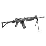 R1 Rifle